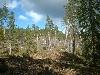 2003_0517_11 G2.jpg